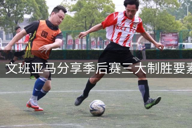 文班亚马分享季后赛三大制胜要素