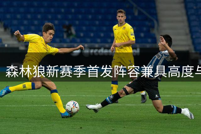 森林狼新赛季首发阵容兼具高度与运动天赋